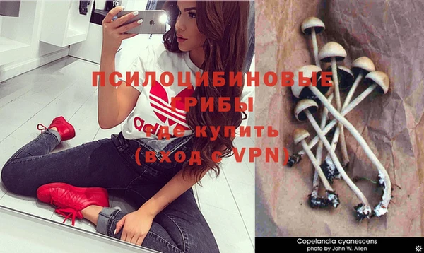 mdpv Бородино