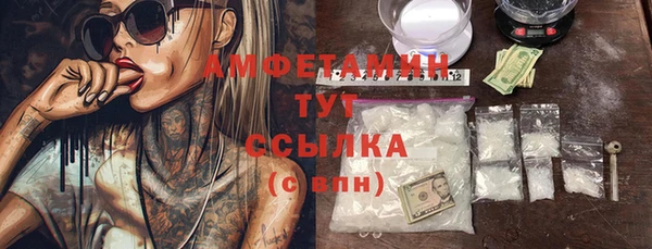mdpv Бородино
