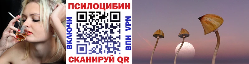 Купить  Усть-Лабинск  Псилоцибиновые грибы ЛСД 